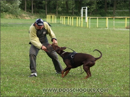 Training camp - Lukova 2007